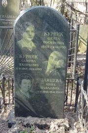 Курник Фейга Иосифовна, Москва, Востряковское кладбище